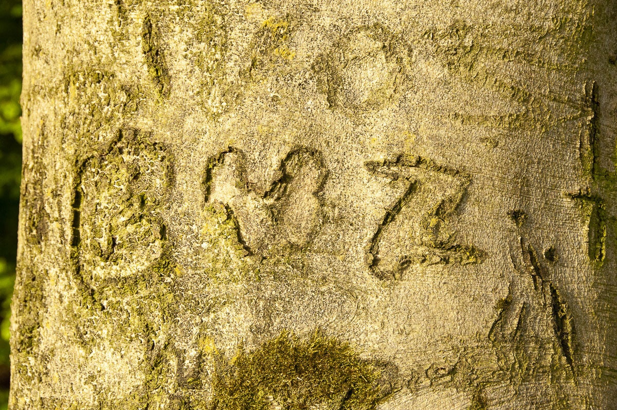 harscamperpad_022-1.jpg