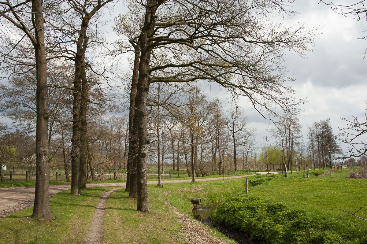 harsloerpad_004-1.jpg