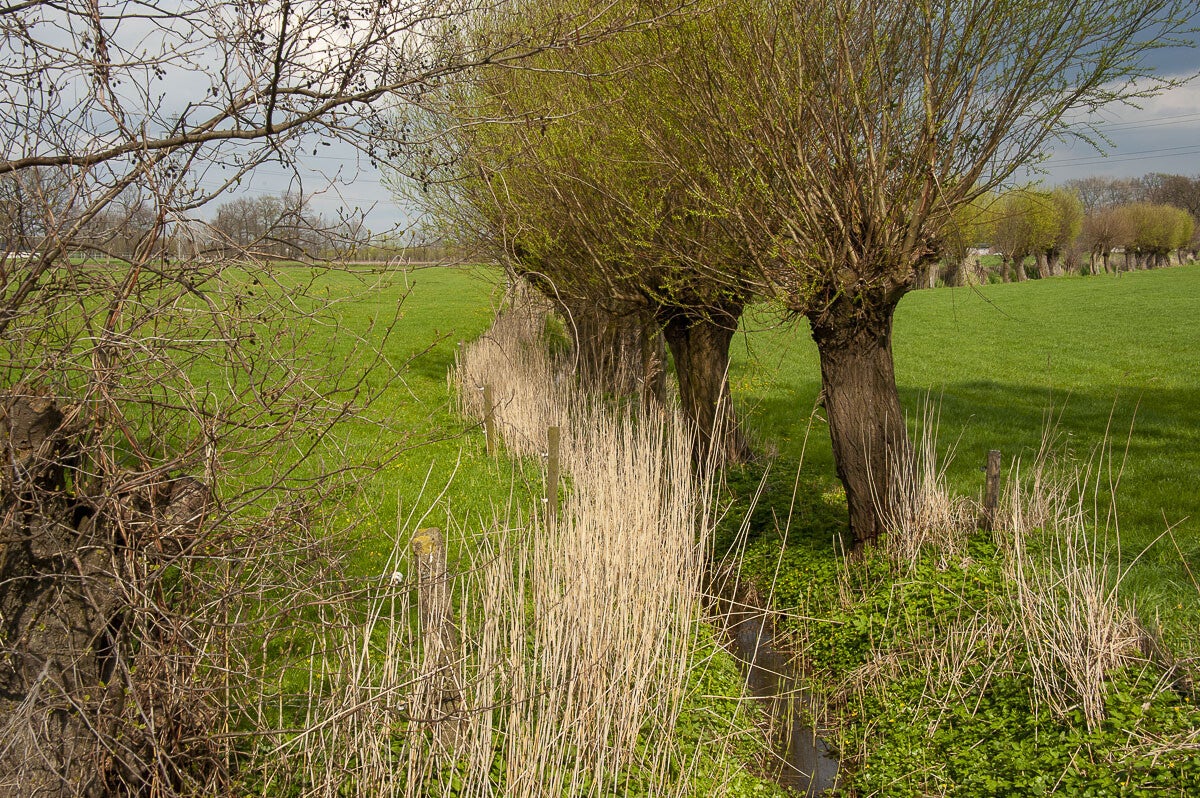 harsloerpad_010-1.jpg