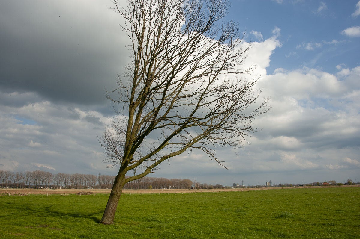 harsloerpad_026-1.jpg