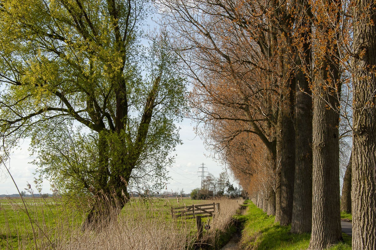 harsloerpad_032-1.jpg