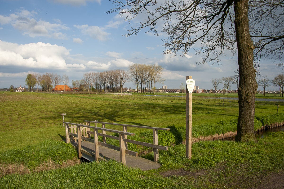 harsloerpad_036-1.jpg