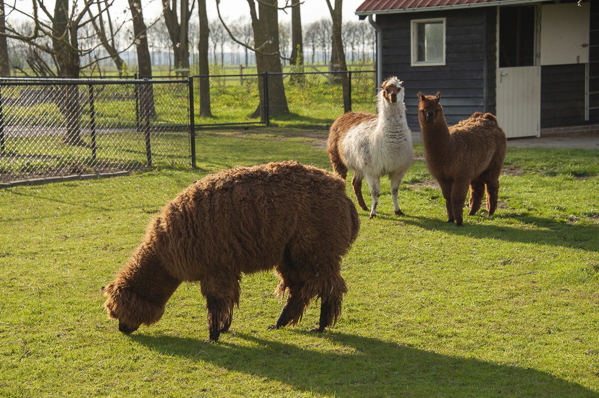 harsloerpad_042-1.jpg