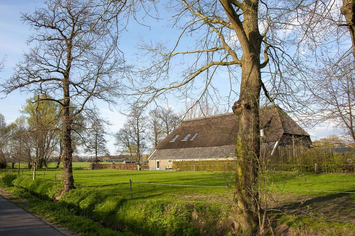 harsloerpad_046-1.jpg