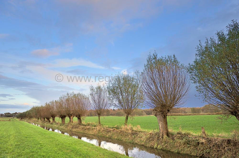 herfst_2009_093.jpg