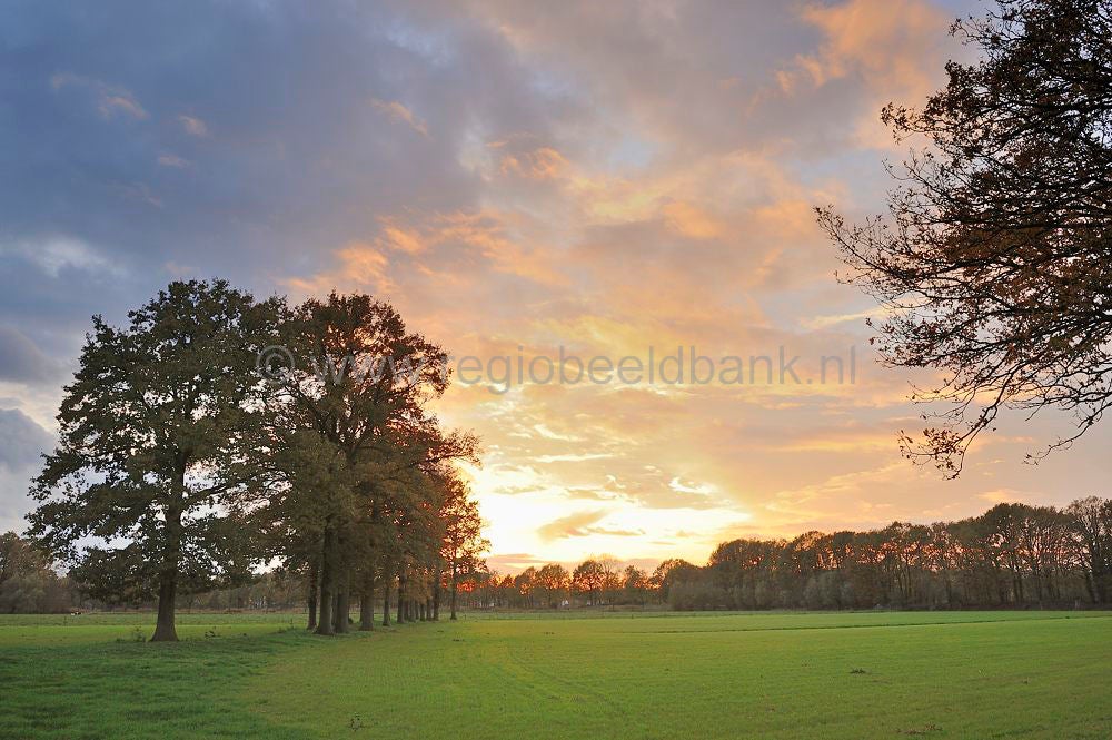 herfst_2009_098.jpg