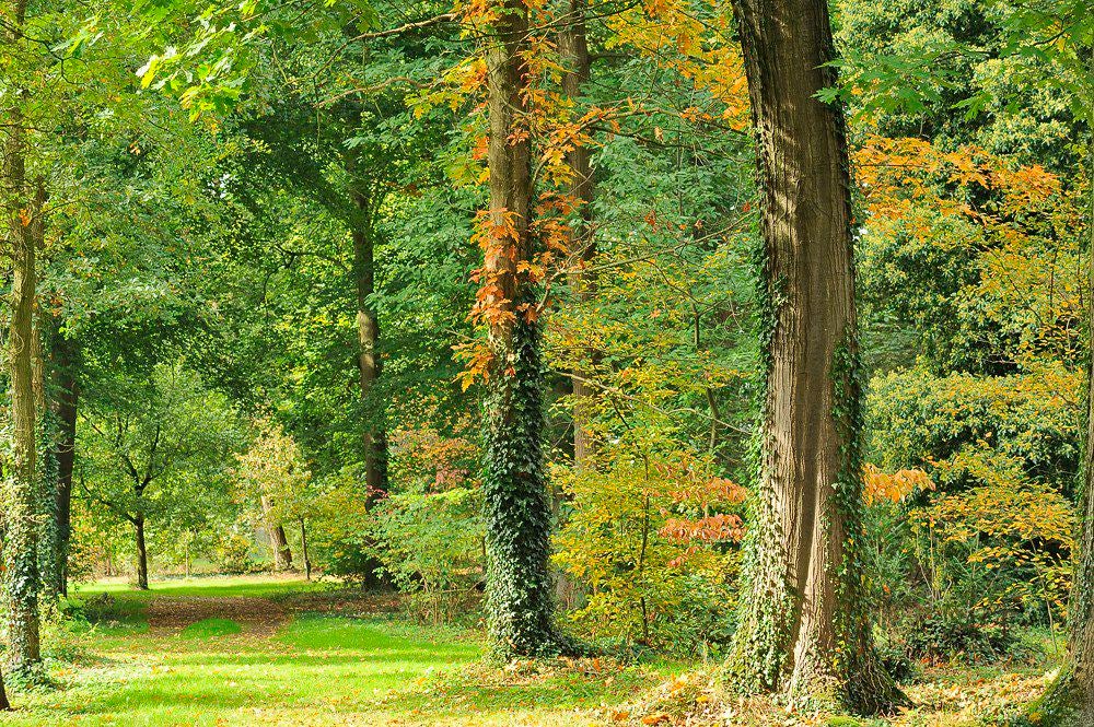 herfst_2017_052-1.jpg