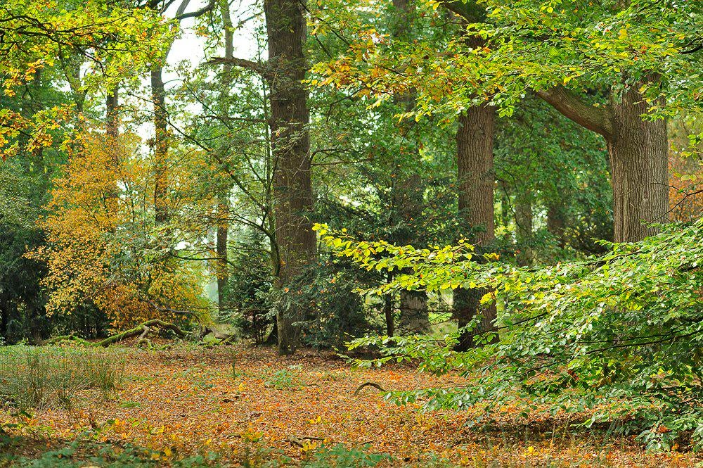 herfst_2017_056-1.jpg