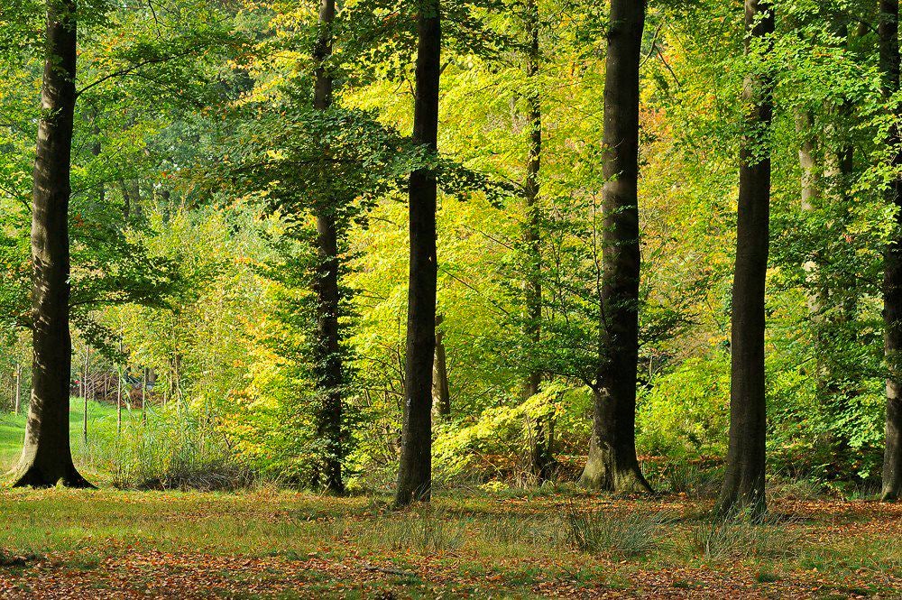 herfst_2017_059-1.jpg