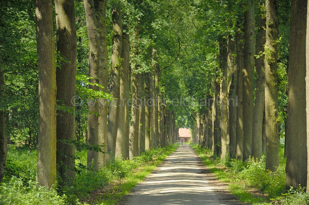 het_cotlandenpad_022-2.jpg