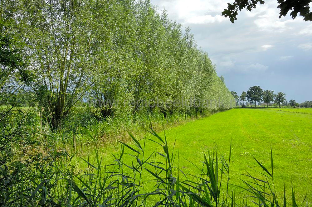 het_cotlandenpad_028-2.jpg