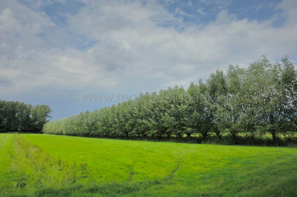 het_cotlandenpad_034-2.jpg