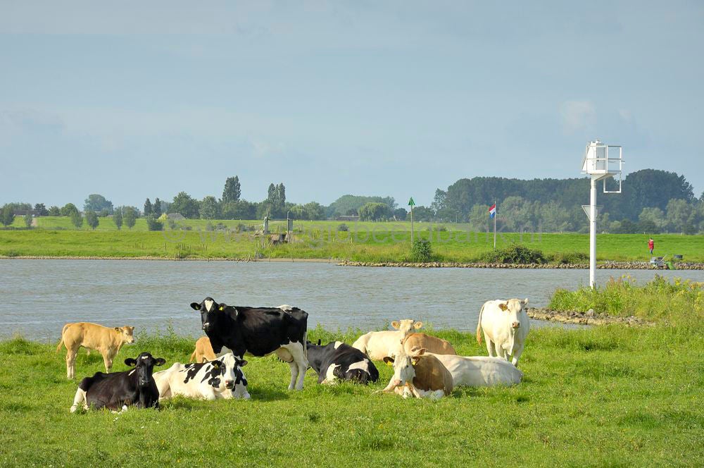 het_cotlandenpad_058-1.jpg