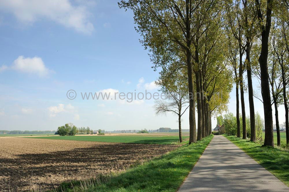 Het Zwin