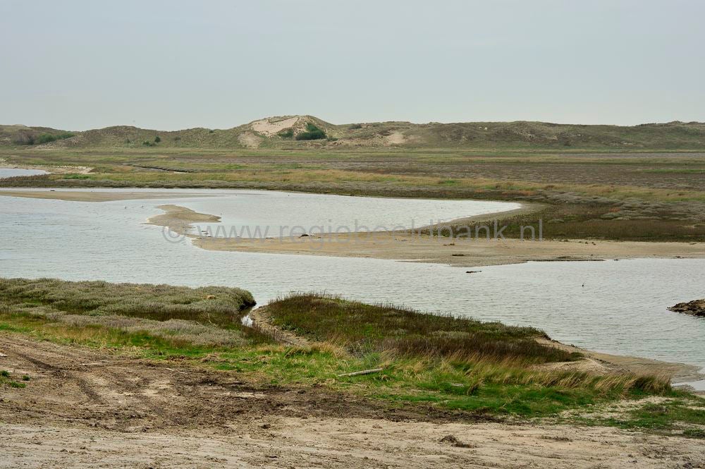 het_zwin_010-1.jpg