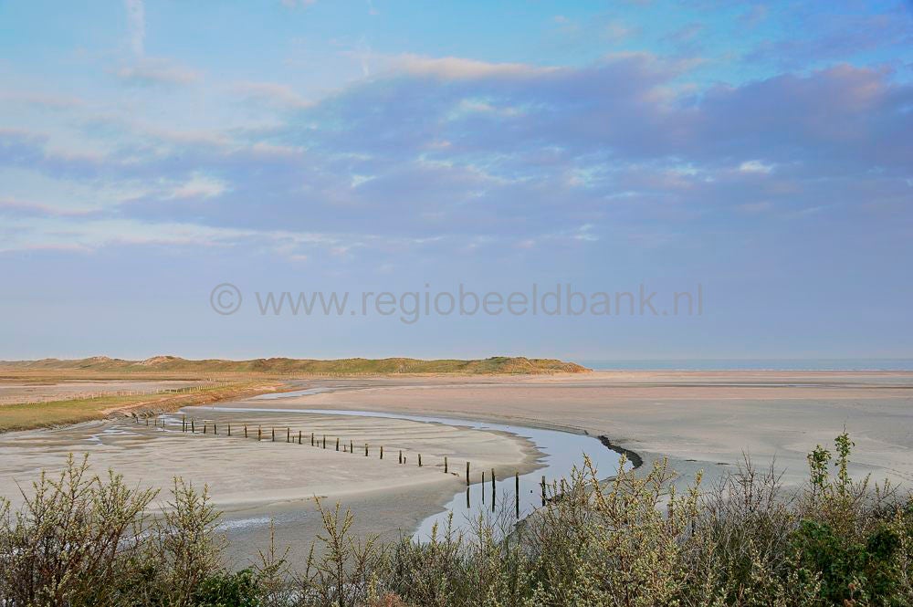 het_zwin_020-1.jpg