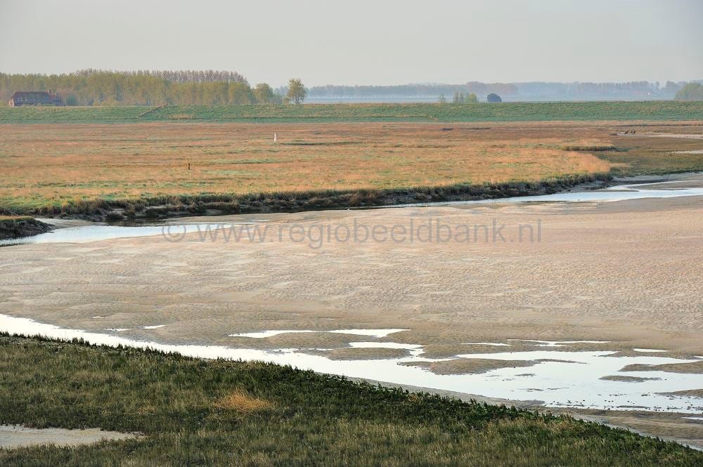 het_zwin_023-1.jpg