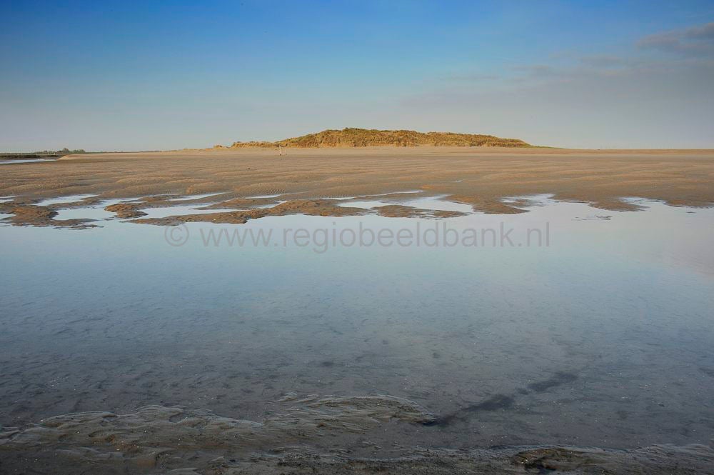 het_zwin_034-1.jpg