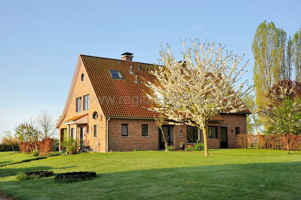 het_zwin_047-1.jpg