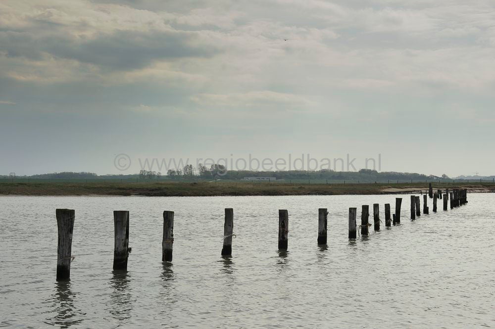 het_zwin_051-1.jpg