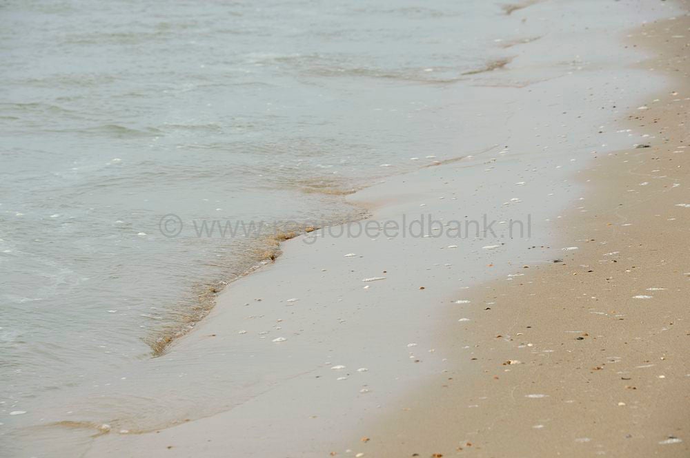 het_zwin_054-1.jpg
