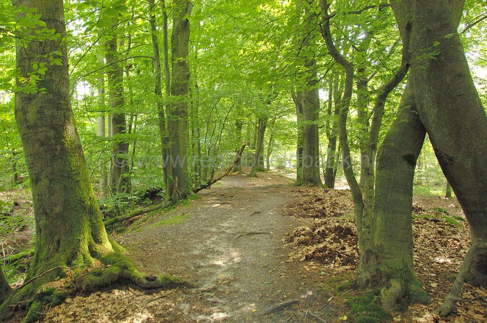 hierdensebeek_leuvenum_0056.jpg