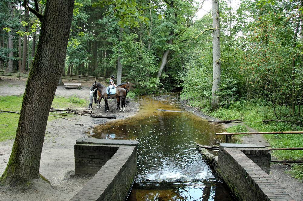 hierdensebeek_leuvenum_0067.jpg