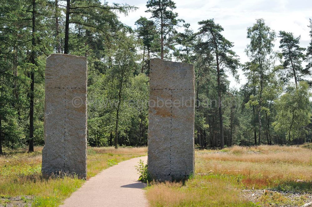 hoge_veluwe_091.jpg