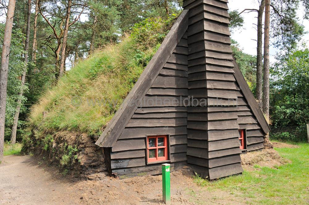 hoge_veluwe_096.jpg