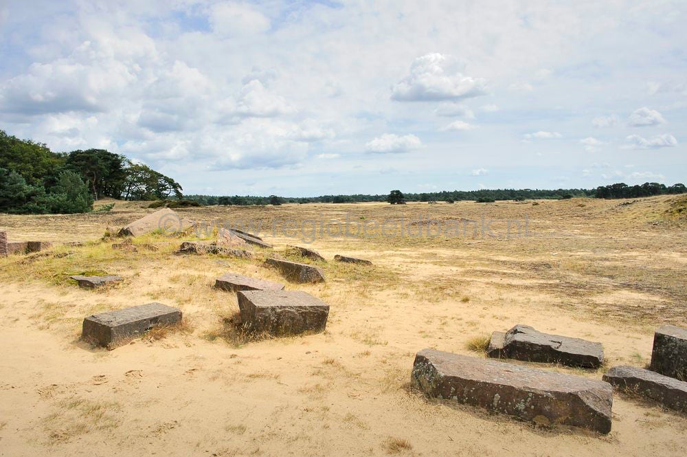 hoge_veluwe_112.jpg