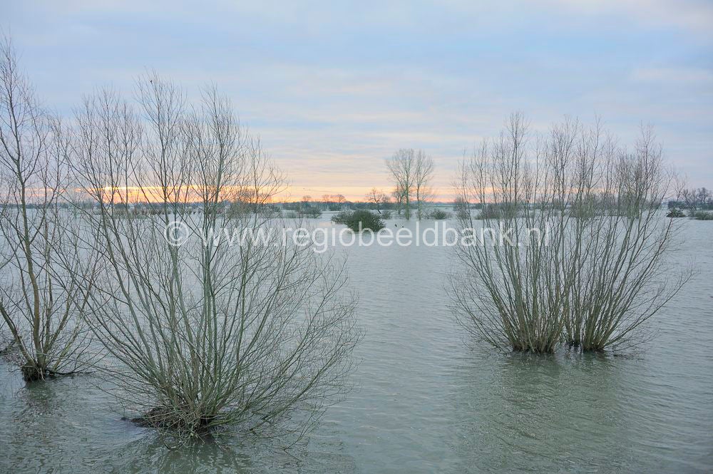 Hoogwater Uiterwaarden