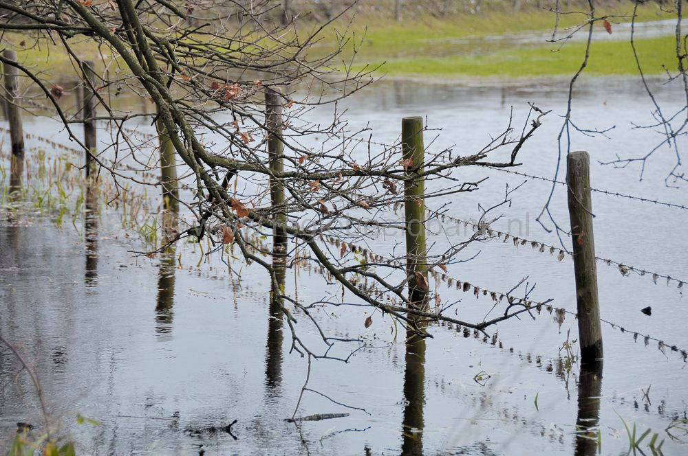 hoogwater_003.jpg