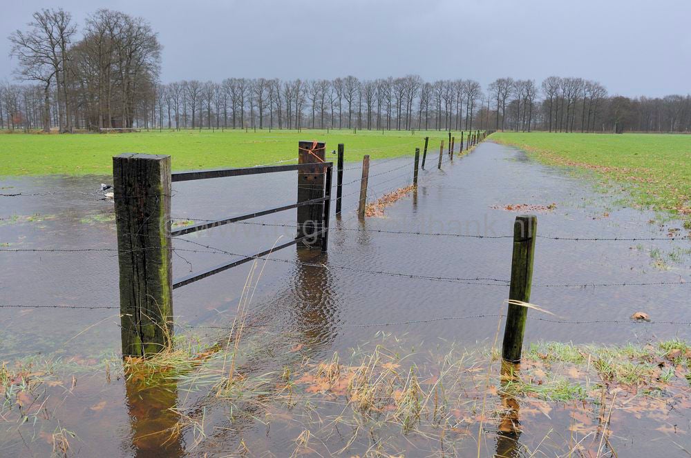 hoogwater_007.jpg