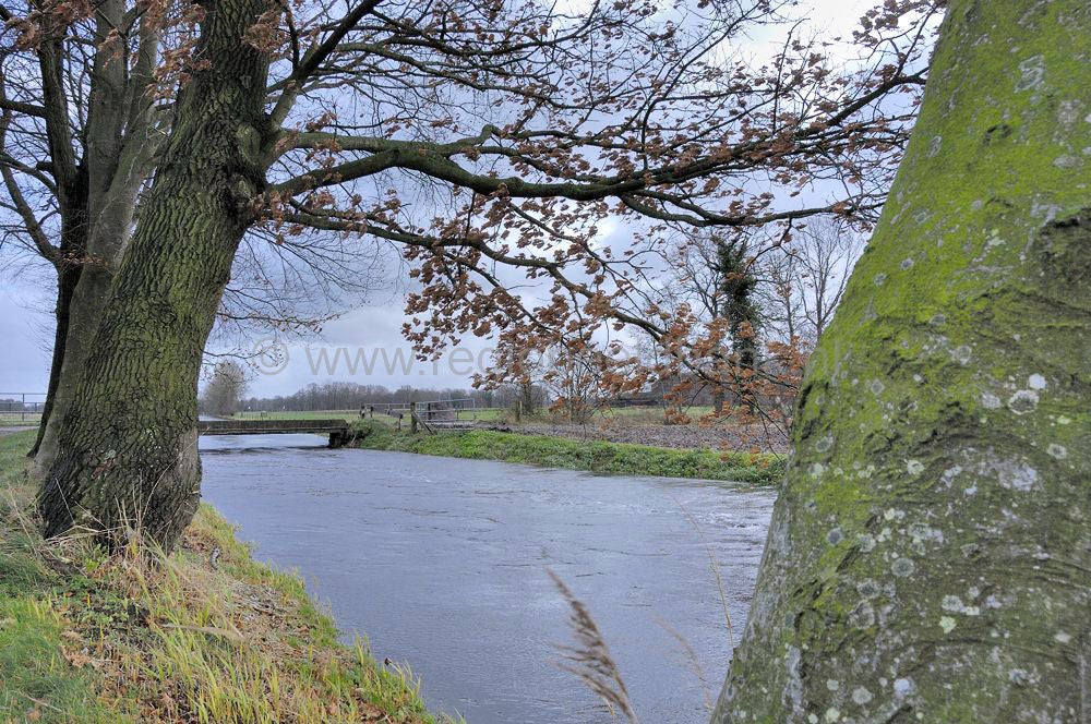 hoogwater_034.jpg