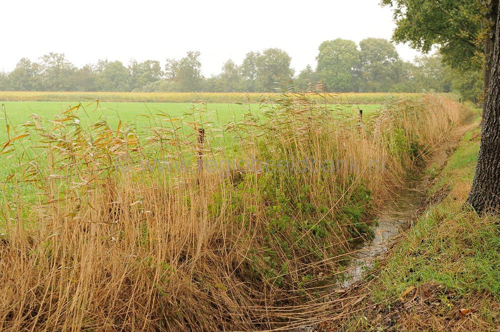 hoogwater_047.jpg