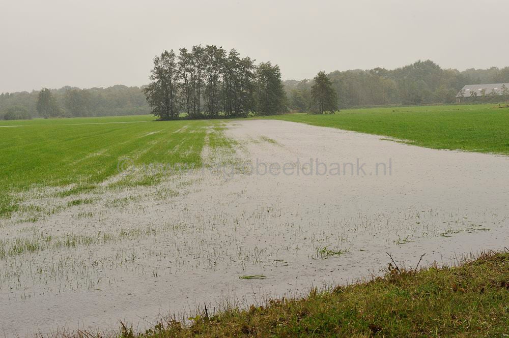 hoogwater_049.jpg