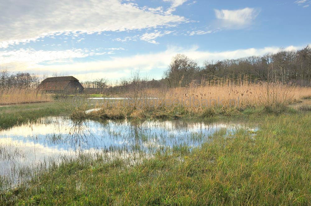 hoogwater__042.jpg