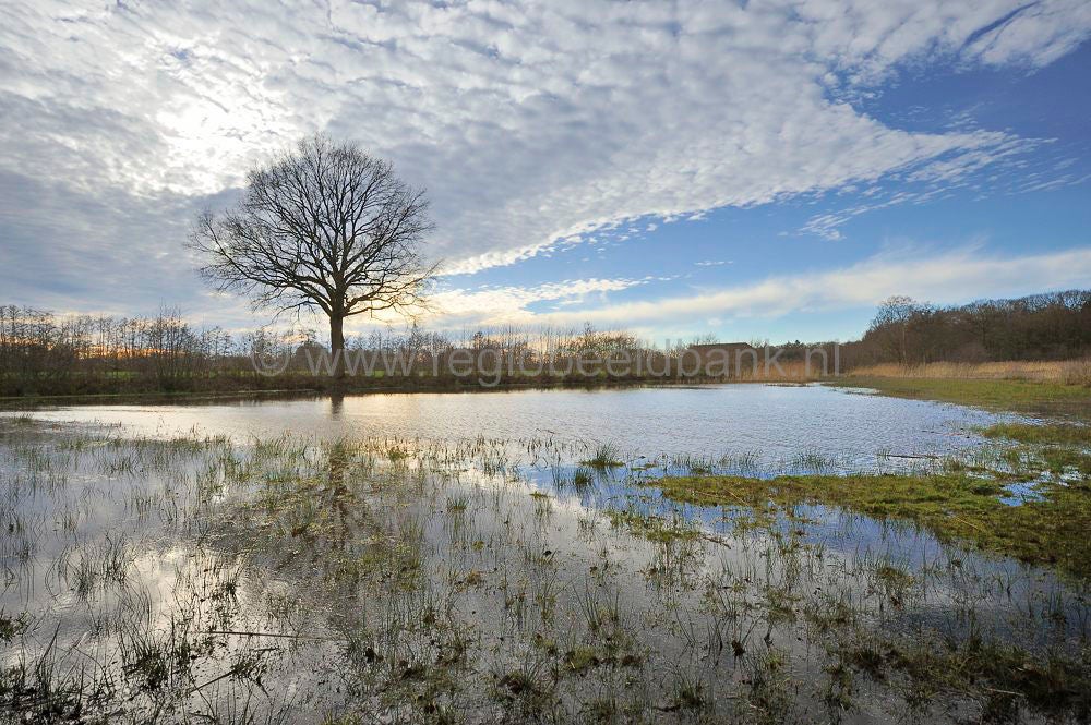 hoogwater__044.jpg