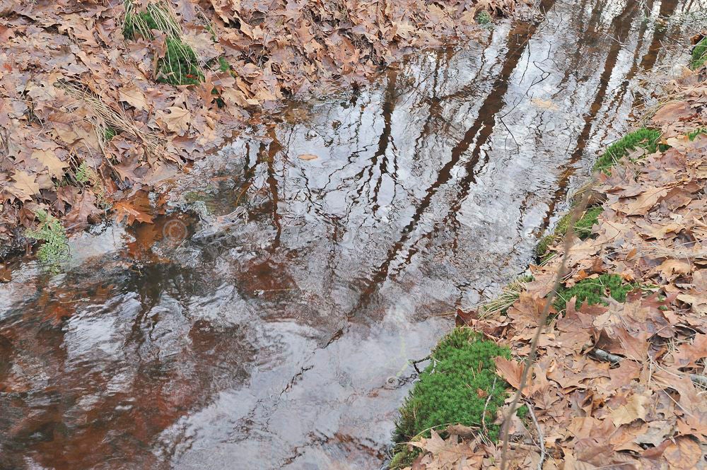 hoogwater__048.jpg