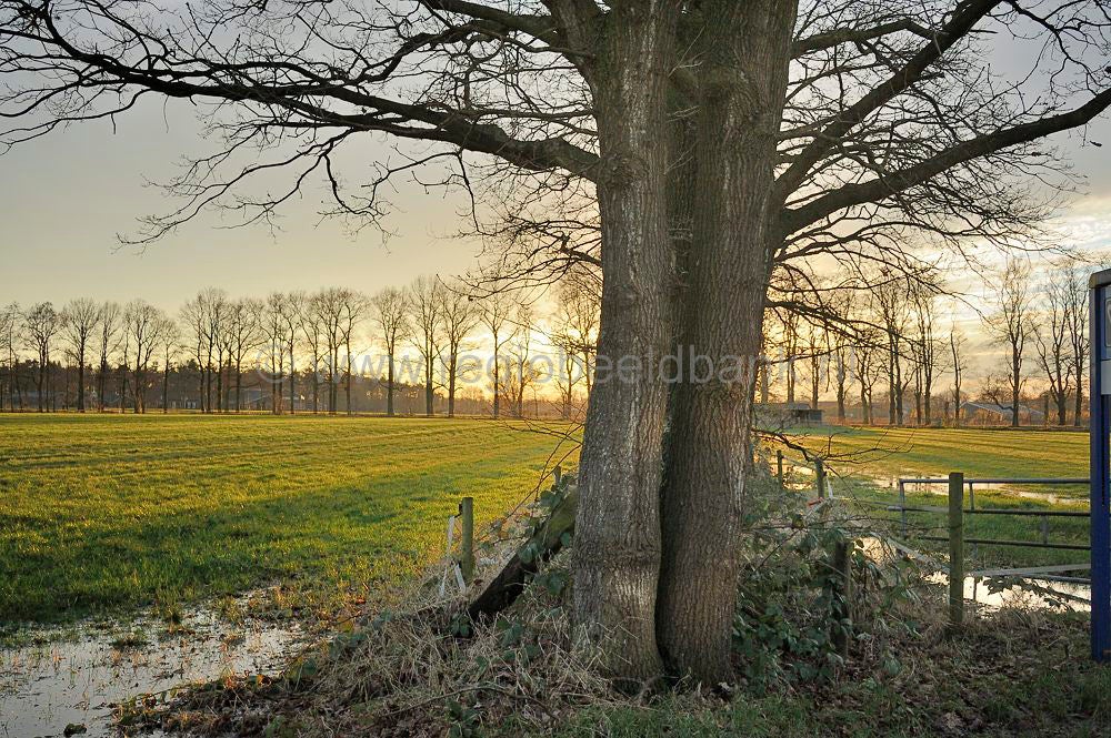 hoogwater__057.jpg