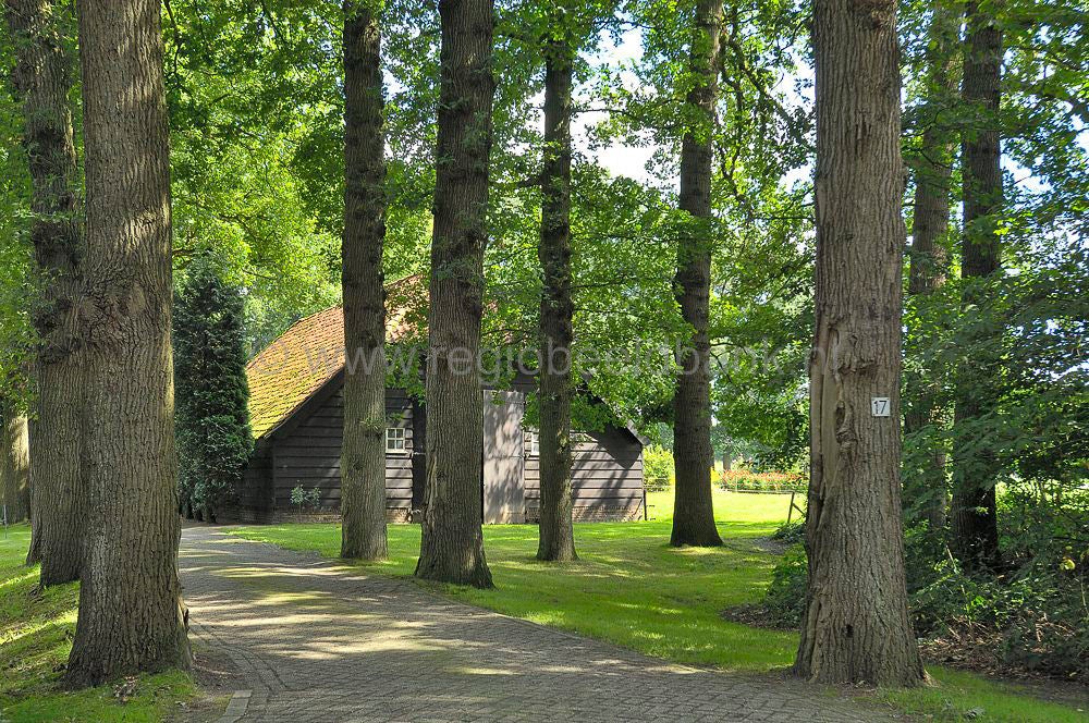 huinen_omgeving_008.jpg