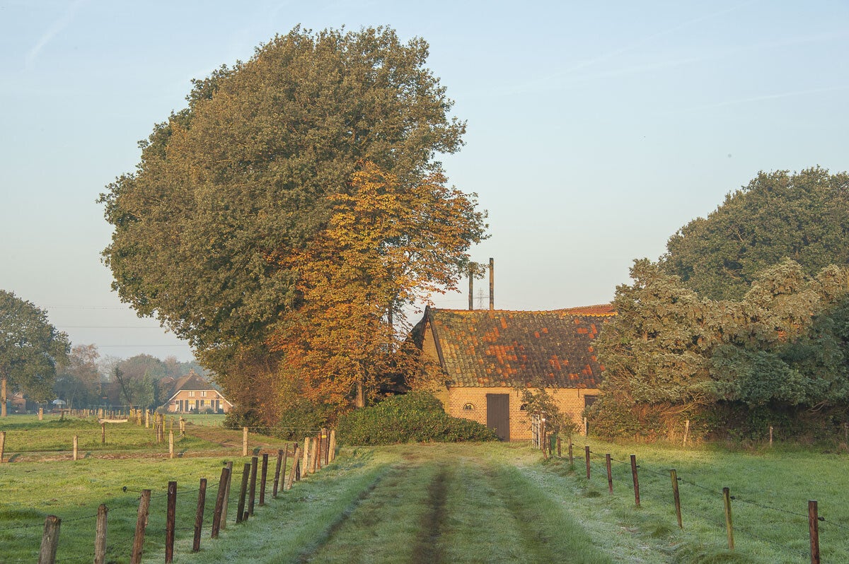 huinerpad_006-1.jpg