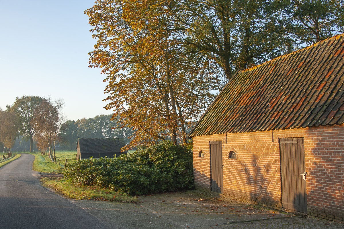 huinerpad_008-1.jpg