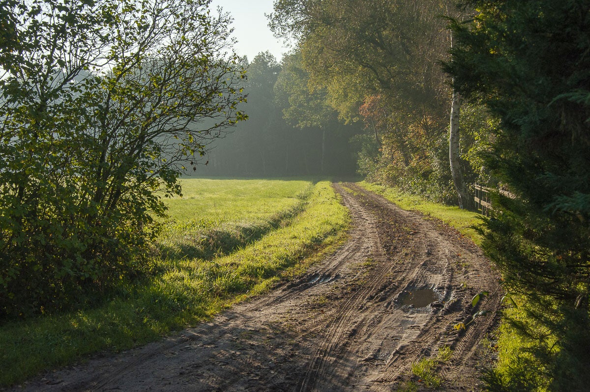 huinerpad_020-1.jpg