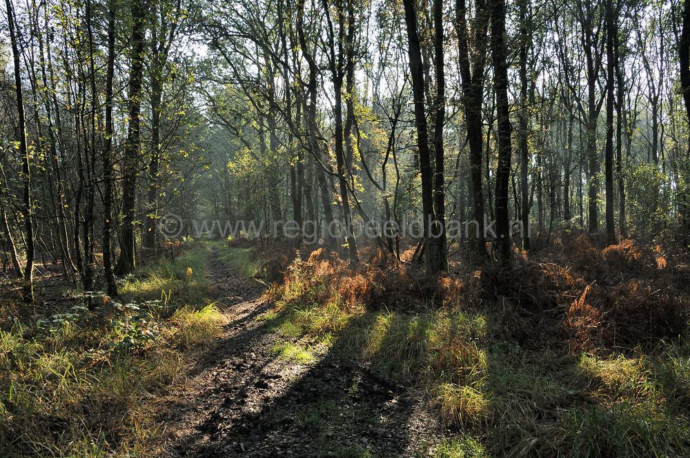 huinerpad_023.jpg
