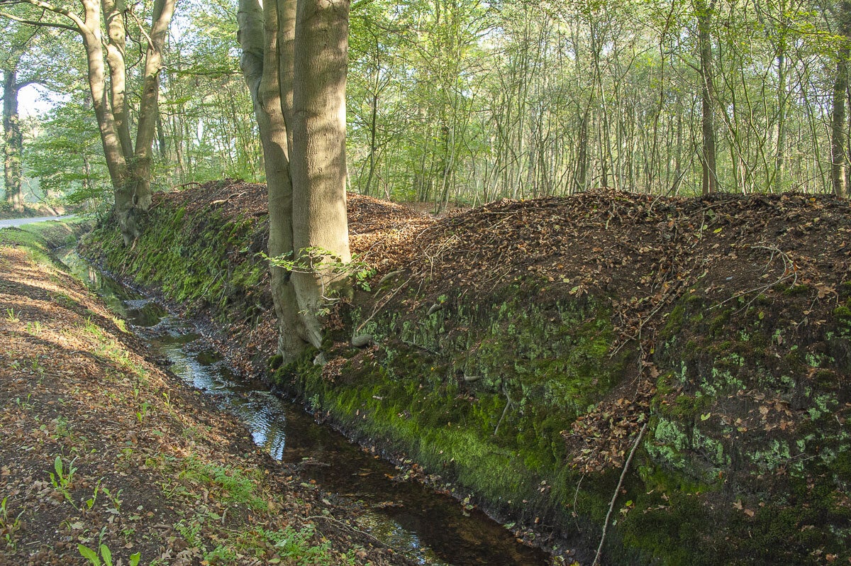 huinerpad_028-1.jpg