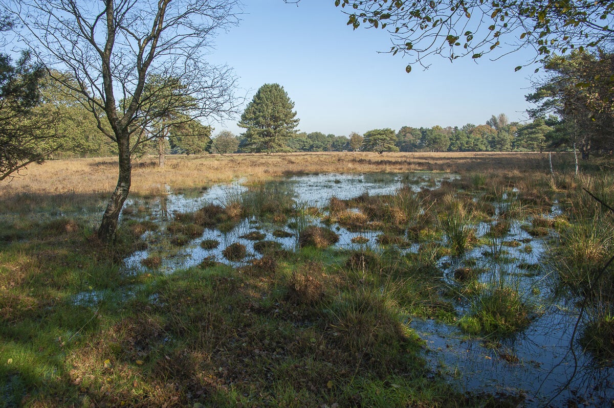 huinerpad_034-1.jpg
