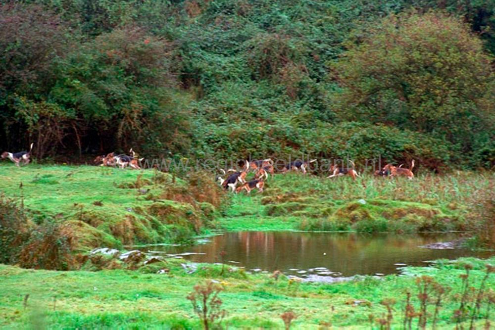 ierland_030.jpg