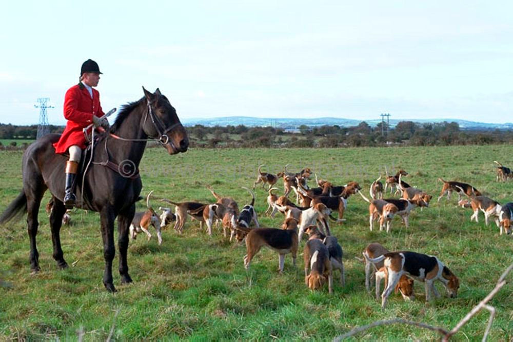 ierland_032.jpg