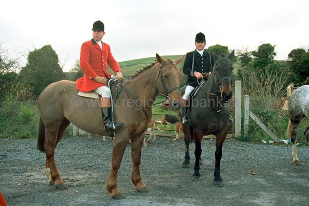 ierland_050.jpg